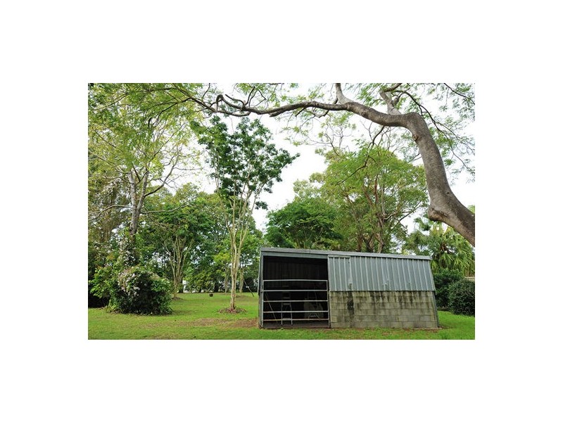 14 Casuarina Drive, Little Mountain QLD 4551
