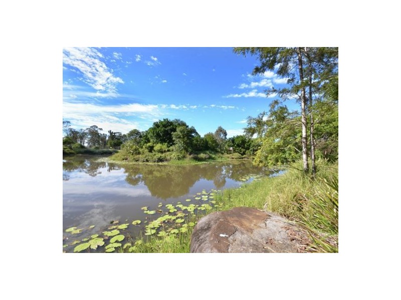 1 Forest View Way, Little Mountain QLD 4551