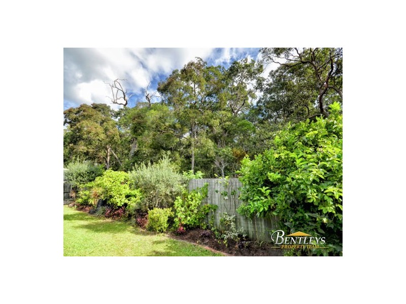11 Redleaf Court, Currimundi QLD 4551