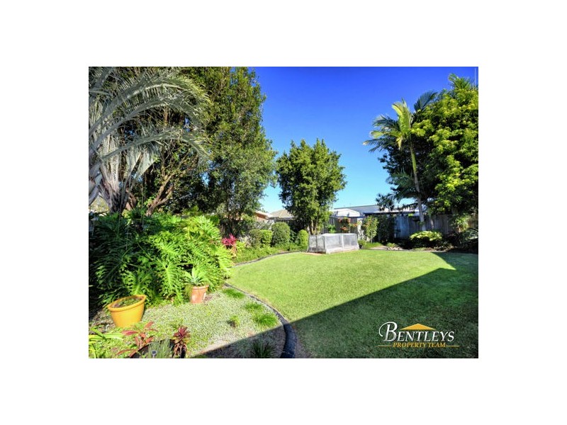 50 Baanya Street, Wurtulla QLD 4575