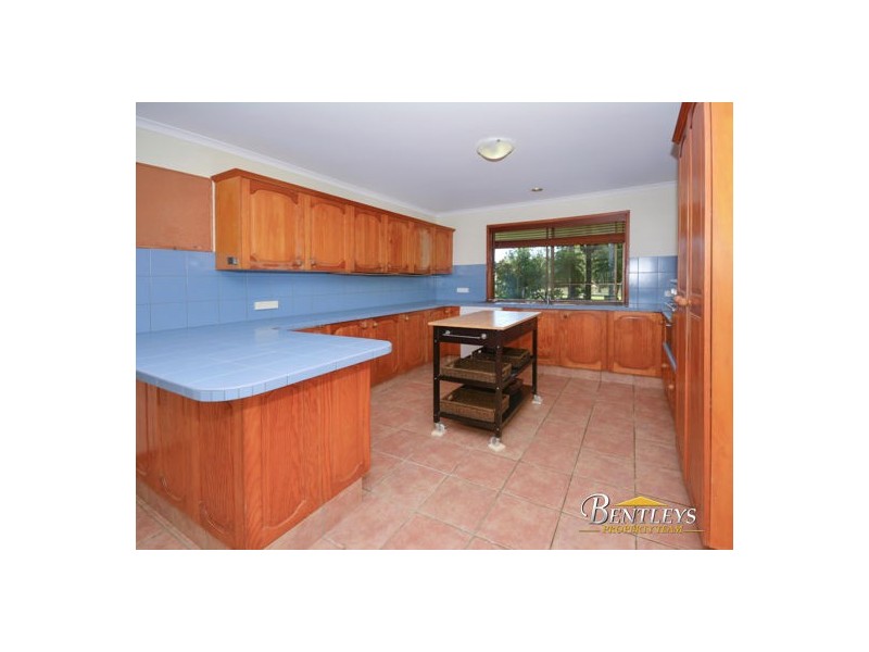 4 Casuarina Drive, Little Mountain QLD 4551