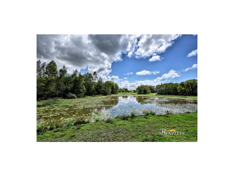 41 Lakeshore Place, Little Mountain QLD 4551