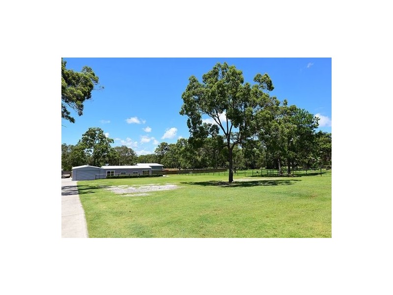 81 Pierce Avenue, Little Mountain QLD 4551