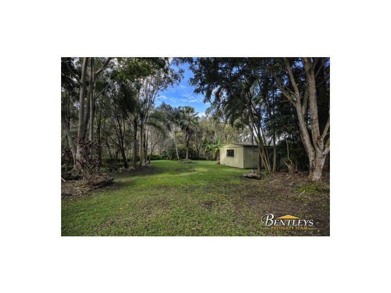 11 Casuarina Drive, Little Mountain QLD 4551