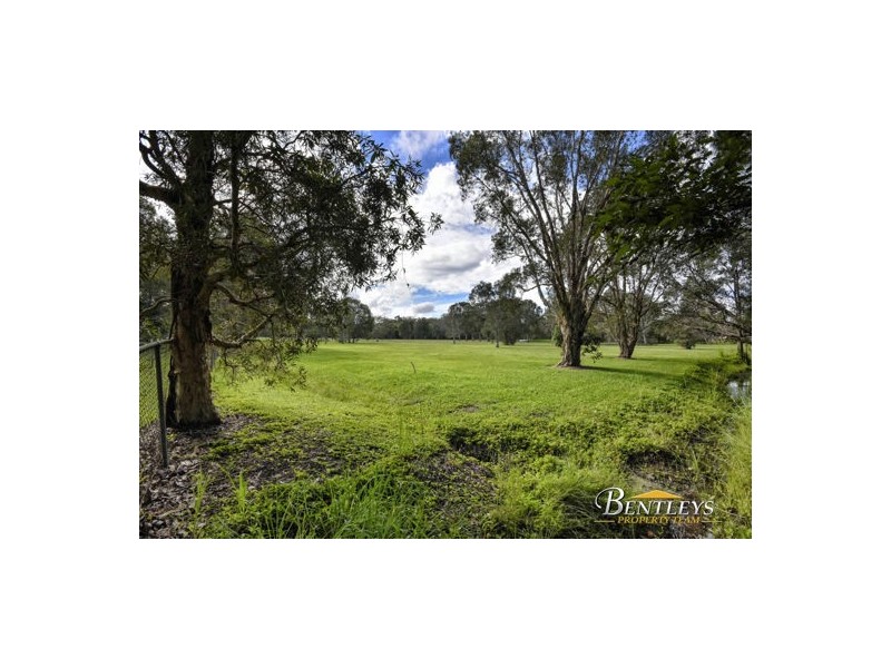 11 Casuarina Drive, Little Mountain QLD 4551
