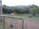 16 Diamond Valley Road, Mooloolah Valley QLD 4553