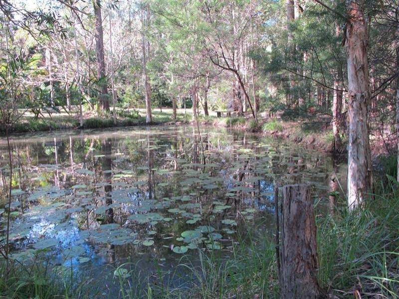 5 Park Court, Landsborough QLD 4550