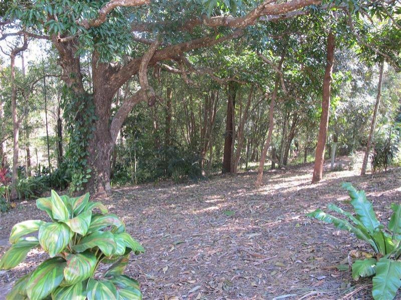 49 Andersen Road, Mooloolah Valley QLD 4553