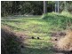 Mooloolah Valley QLD 4553