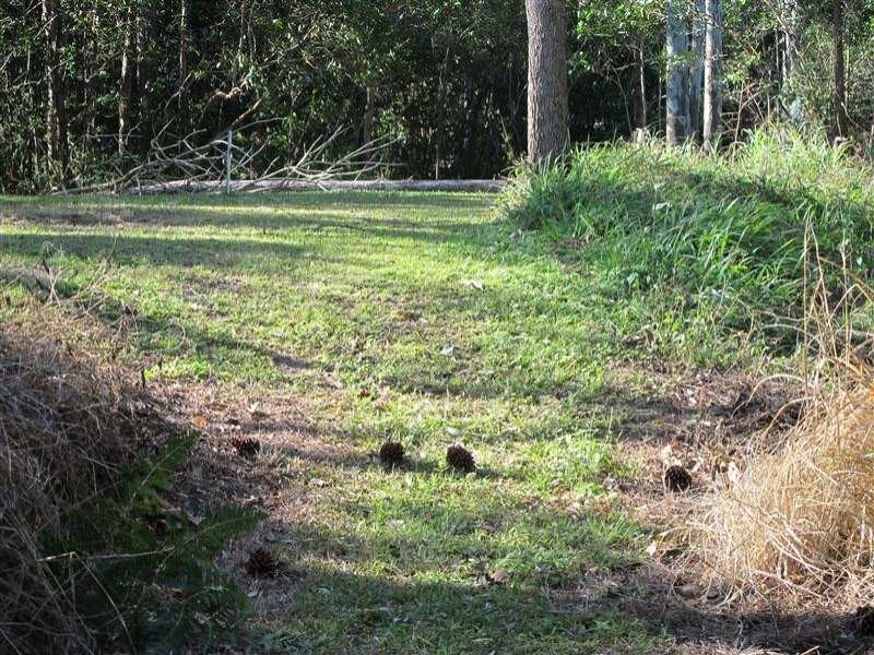 Mooloolah Valley QLD 4553