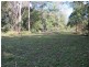 Mooloolah Valley QLD 4553