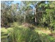 Mooloolah Valley QLD 4553