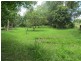 Mooloolah Valley QLD 4553