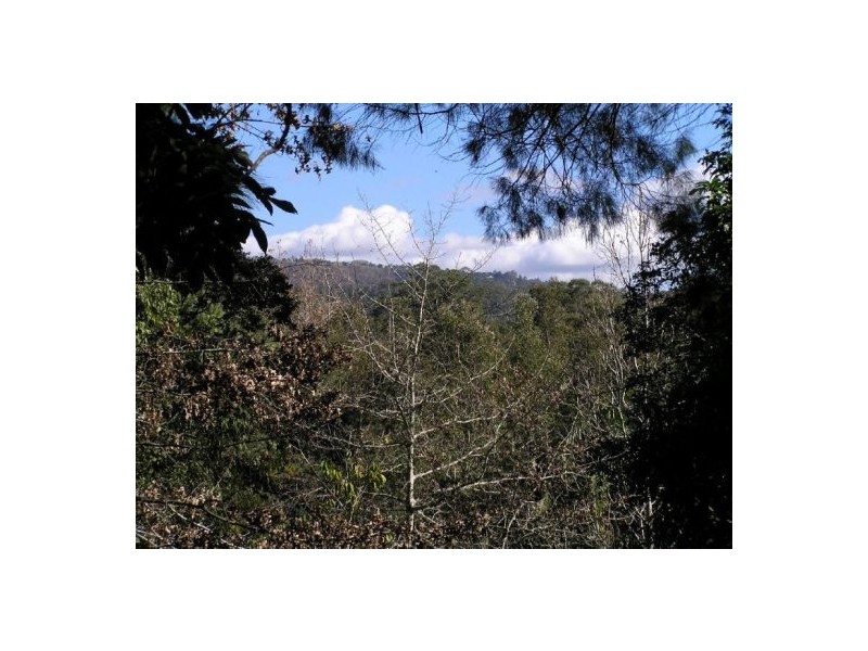 Mooloolah Valley QLD 4553