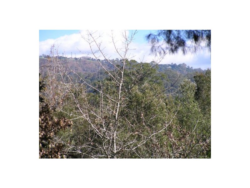 Mooloolah Valley QLD 4553