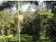 Mooloolah Valley QLD 4553