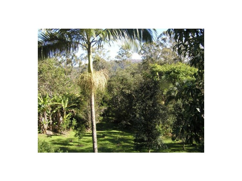 Mooloolah Valley QLD 4553