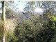 Mooloolah Valley QLD 4553