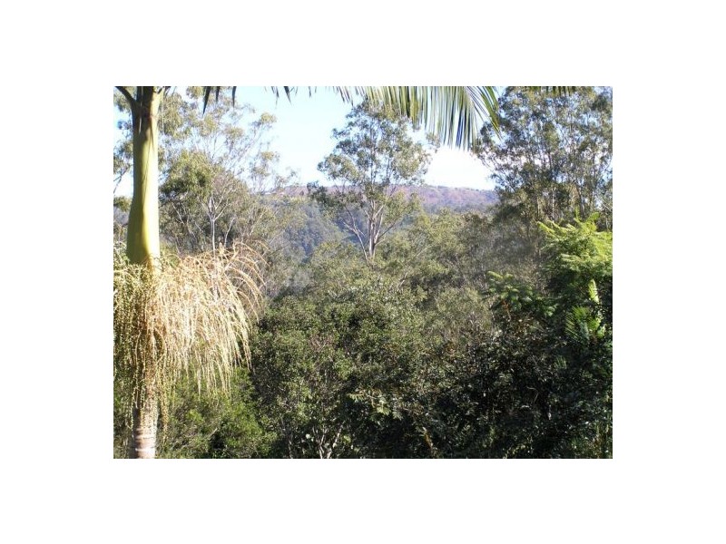 Mooloolah Valley QLD 4553