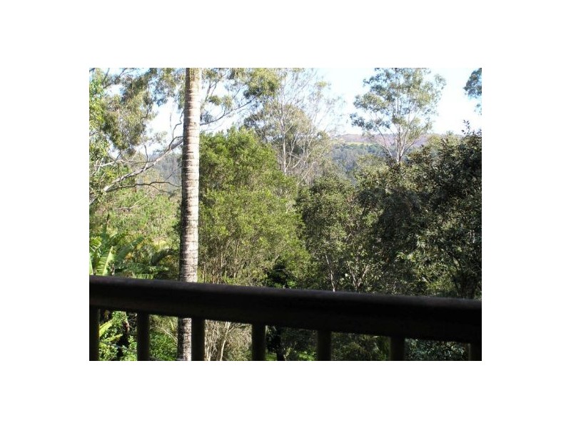 Mooloolah Valley QLD 4553