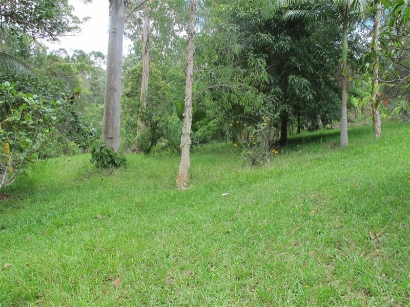 Mooloolah Valley QLD 4553