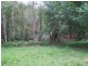 Mooloolah Valley QLD 4553