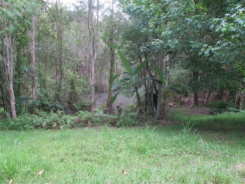 Mooloolah Valley QLD 4553