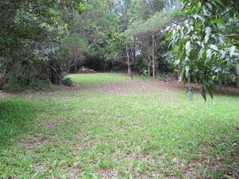 Mooloolah Valley QLD 4553