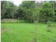 Mooloolah Valley QLD 4553