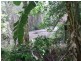 Mooloolah Valley QLD 4553