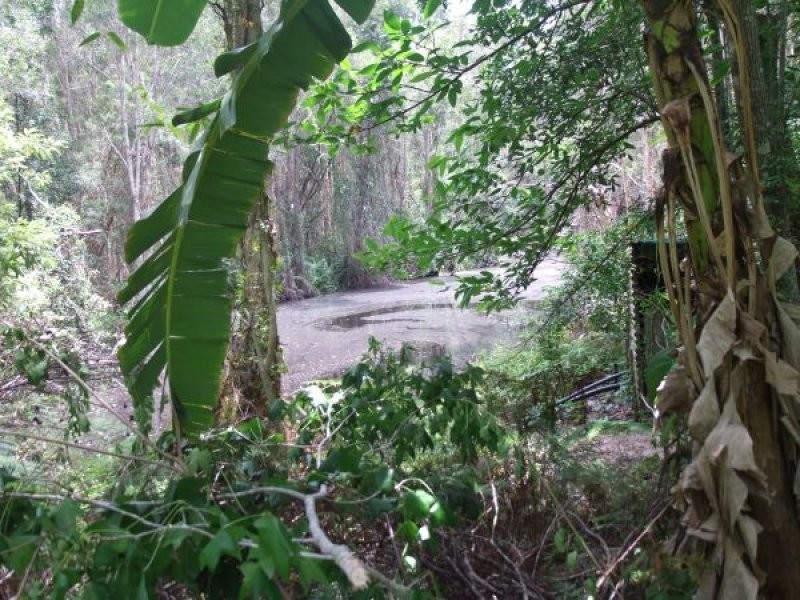 Mooloolah Valley QLD 4553