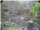 Mooloolah Valley QLD 4553