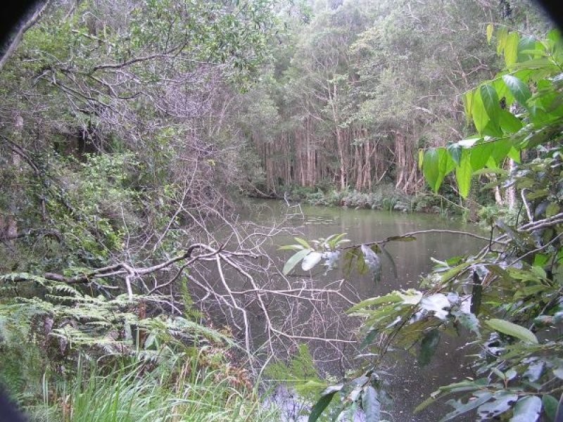 Mooloolah Valley QLD 4553