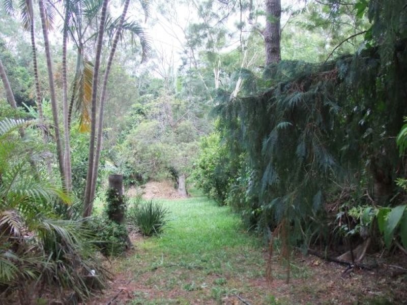 Mooloolah Valley QLD 4553