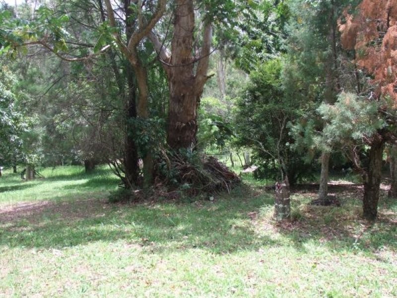 Mooloolah Valley QLD 4553