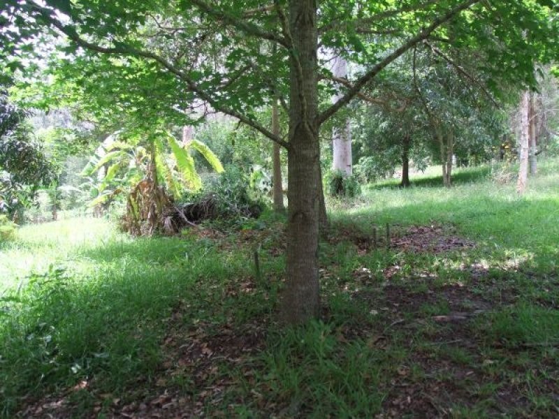Mooloolah Valley QLD 4553