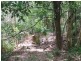 Mooloolah Valley QLD 4553