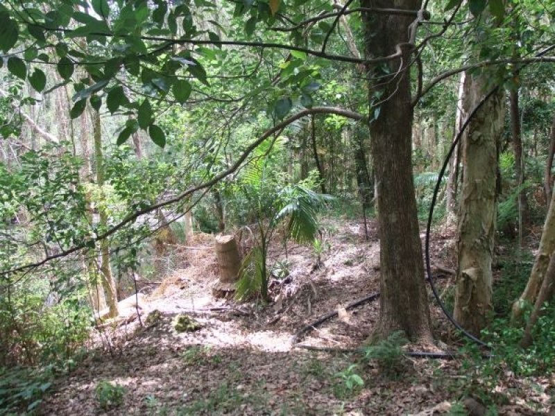 Mooloolah Valley QLD 4553