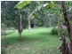 Mooloolah Valley QLD 4553