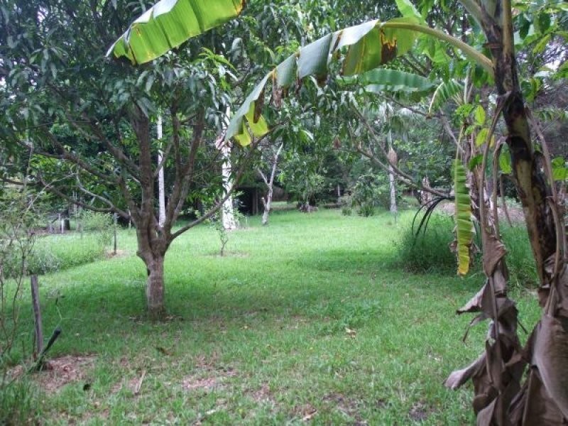 Mooloolah Valley QLD 4553