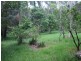 Mooloolah Valley QLD 4553