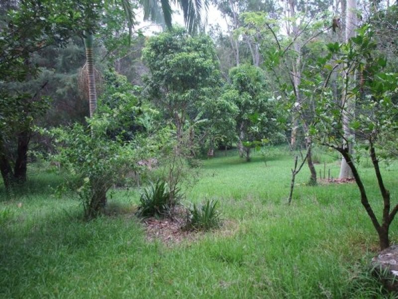 Mooloolah Valley QLD 4553