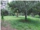 Mooloolah Valley QLD 4553