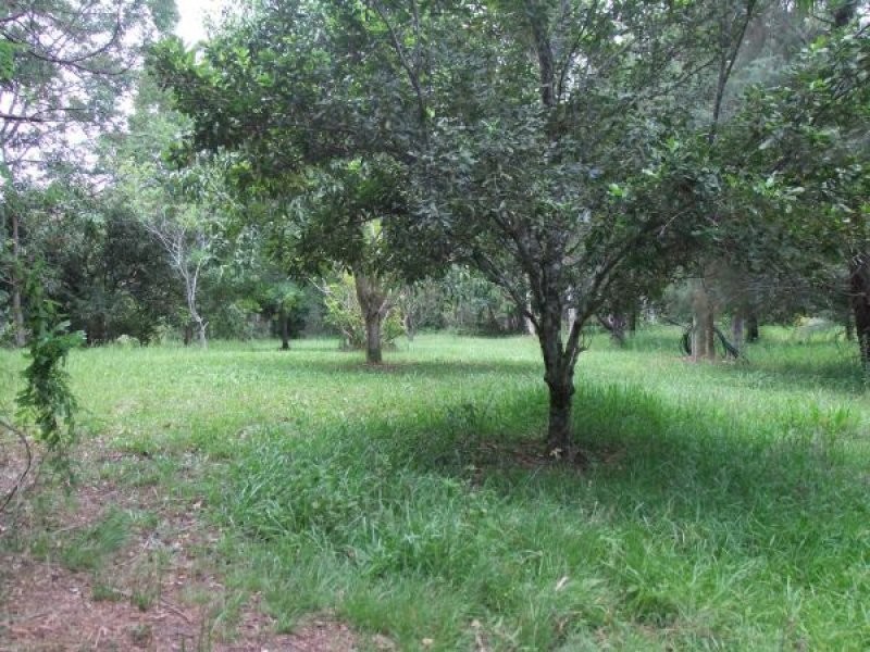 Mooloolah Valley QLD 4553