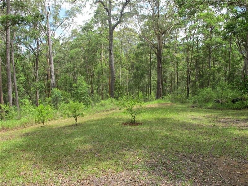487 Neill Road, Mooloolah Valley QLD 4553
