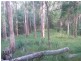 487 Neill Road, Mooloolah Valley QLD 4553