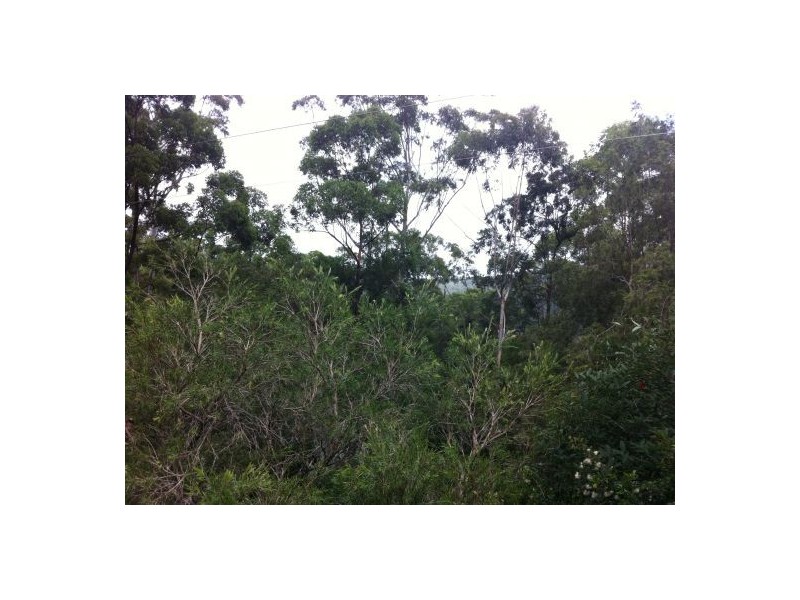 Diamond Valley QLD 4553