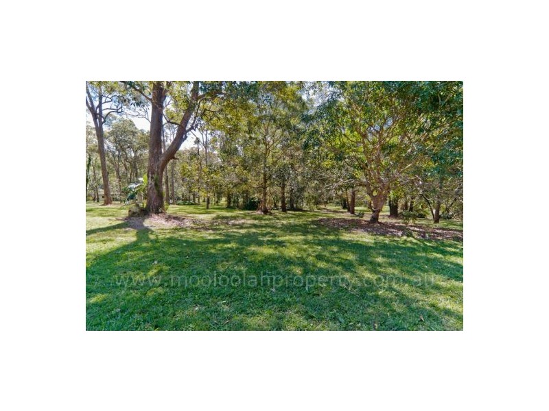 310 Connection Road, Mooloolah Valley QLD 4553