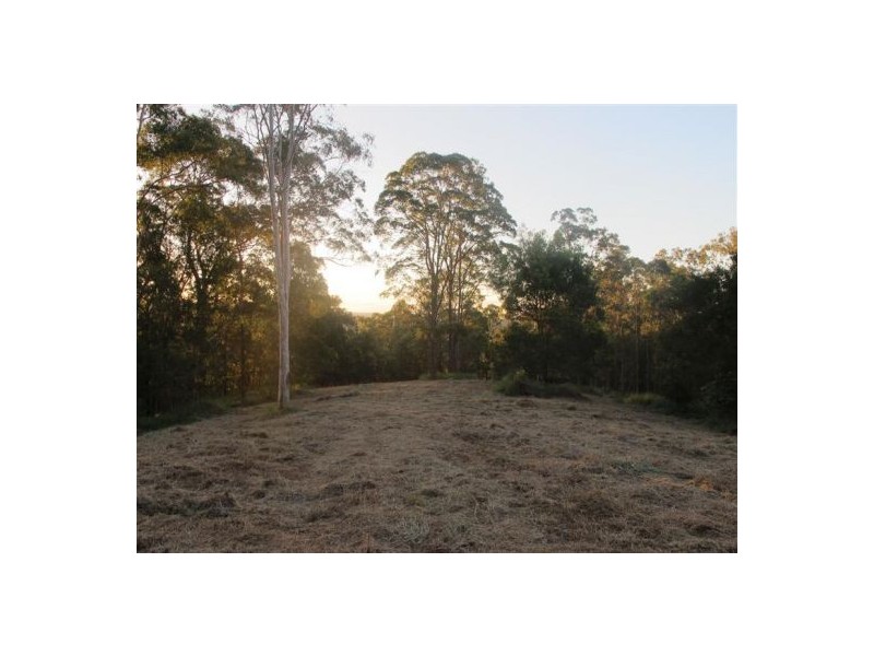 Mooloolah Valley QLD 4553