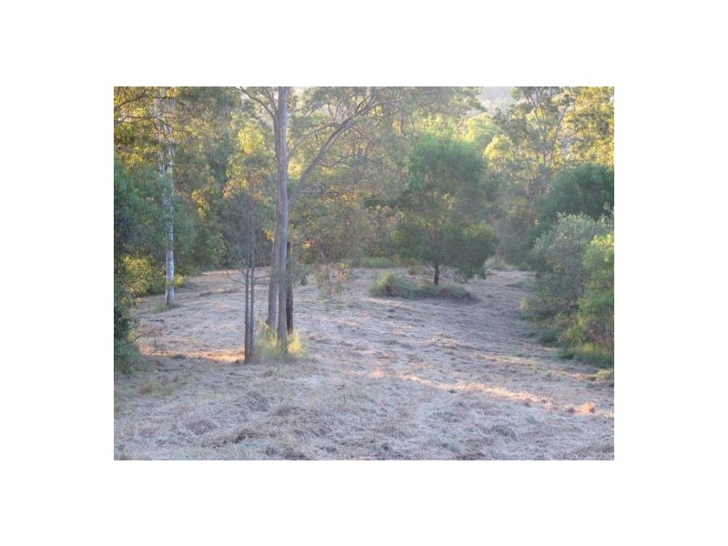 Mooloolah Valley QLD 4553